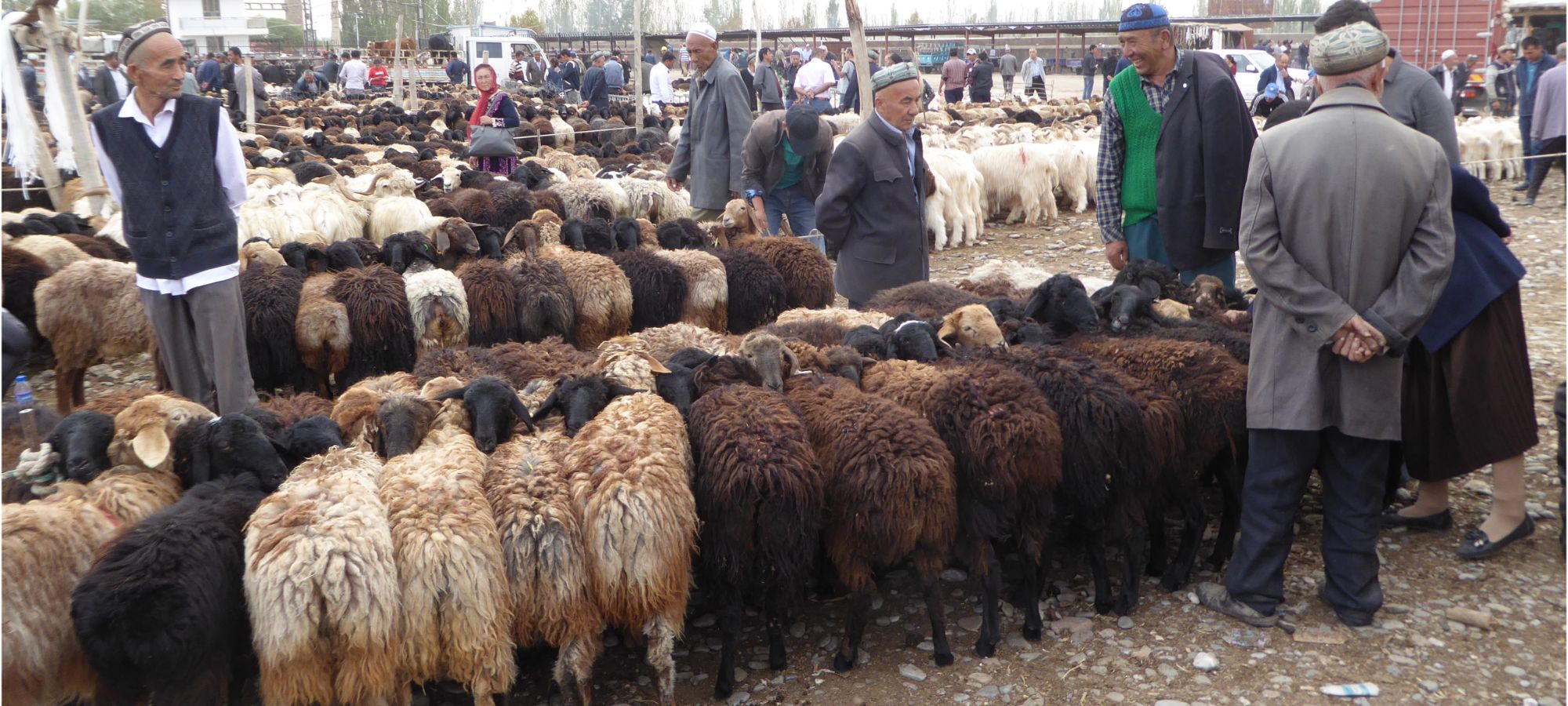 Photos from our Karakoram Highway Cycling Holiday